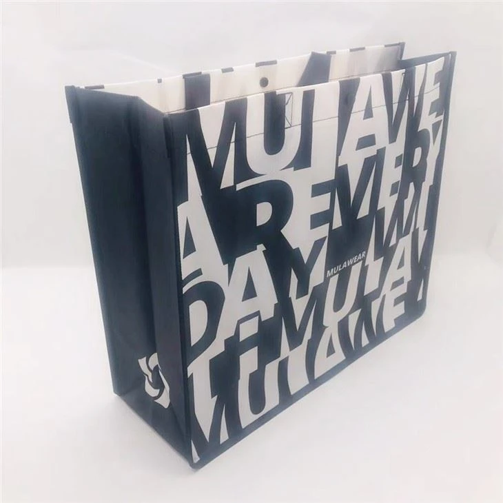 PP Non Woven Bag